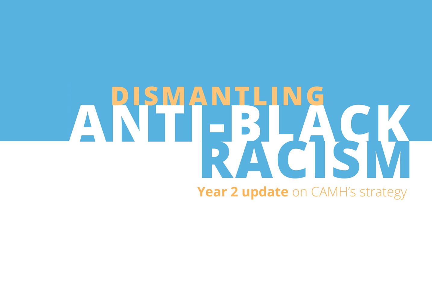 Dismantling Anti-Black Racism - Year 2 Update