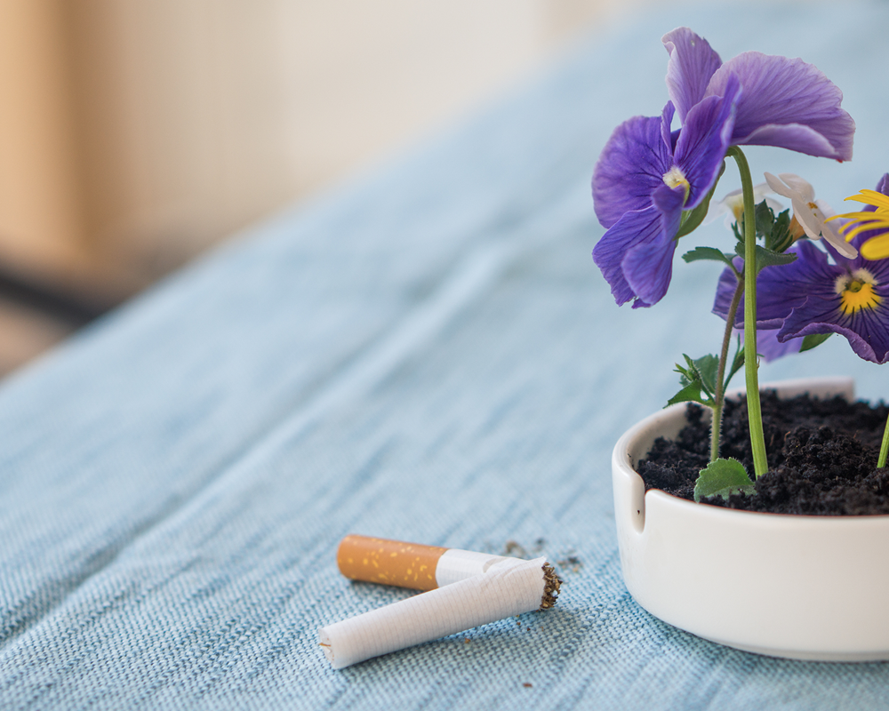 broken cigarette beside ashtray full of flowers