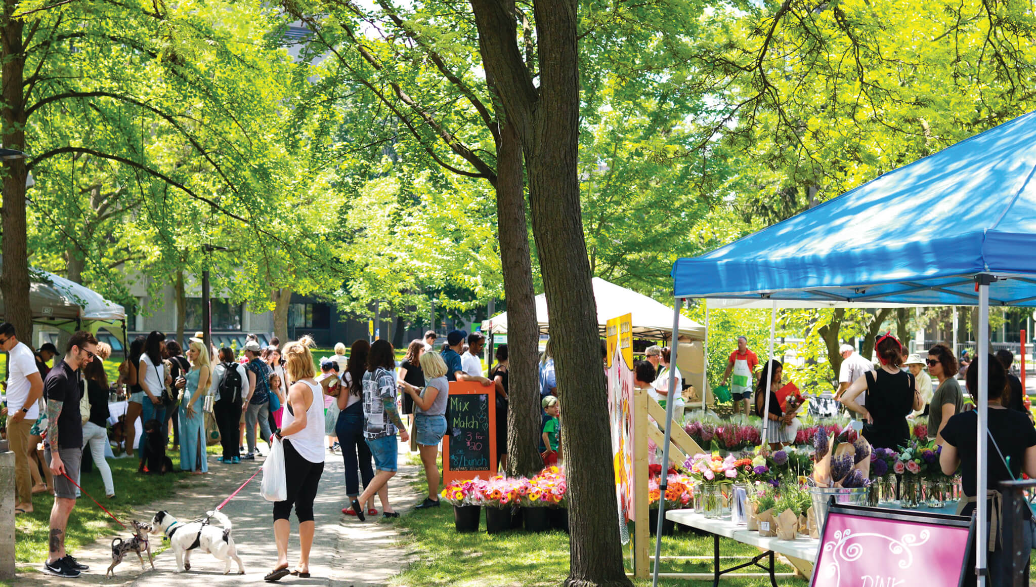 CAMH’s Shaw Park was a hub of activity at the 2017 Toronto Flower Market