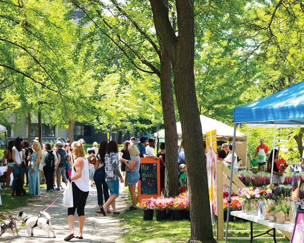 CAMH’s Shaw Park was a hub of activity at the 2017 Toronto Flower Market