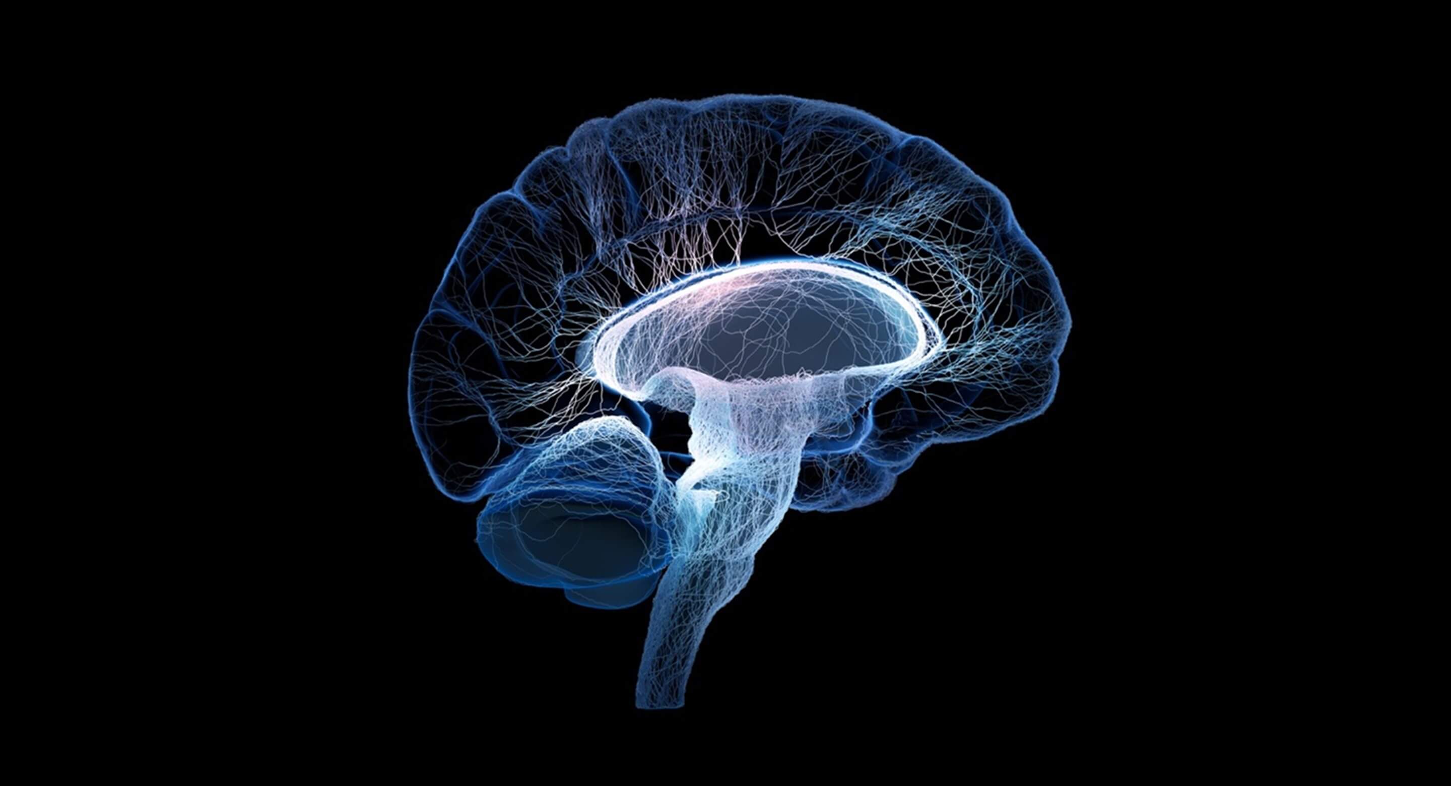 3d rendering of human brain with interconnected small nerves