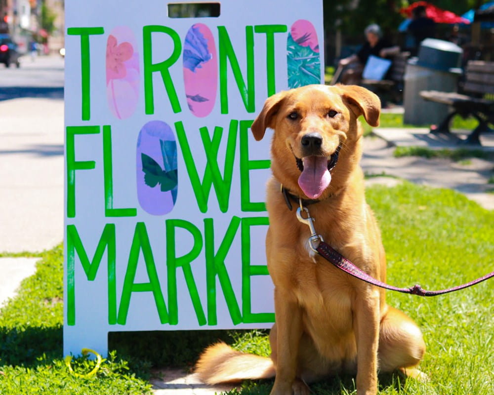 Dog and flower market sign