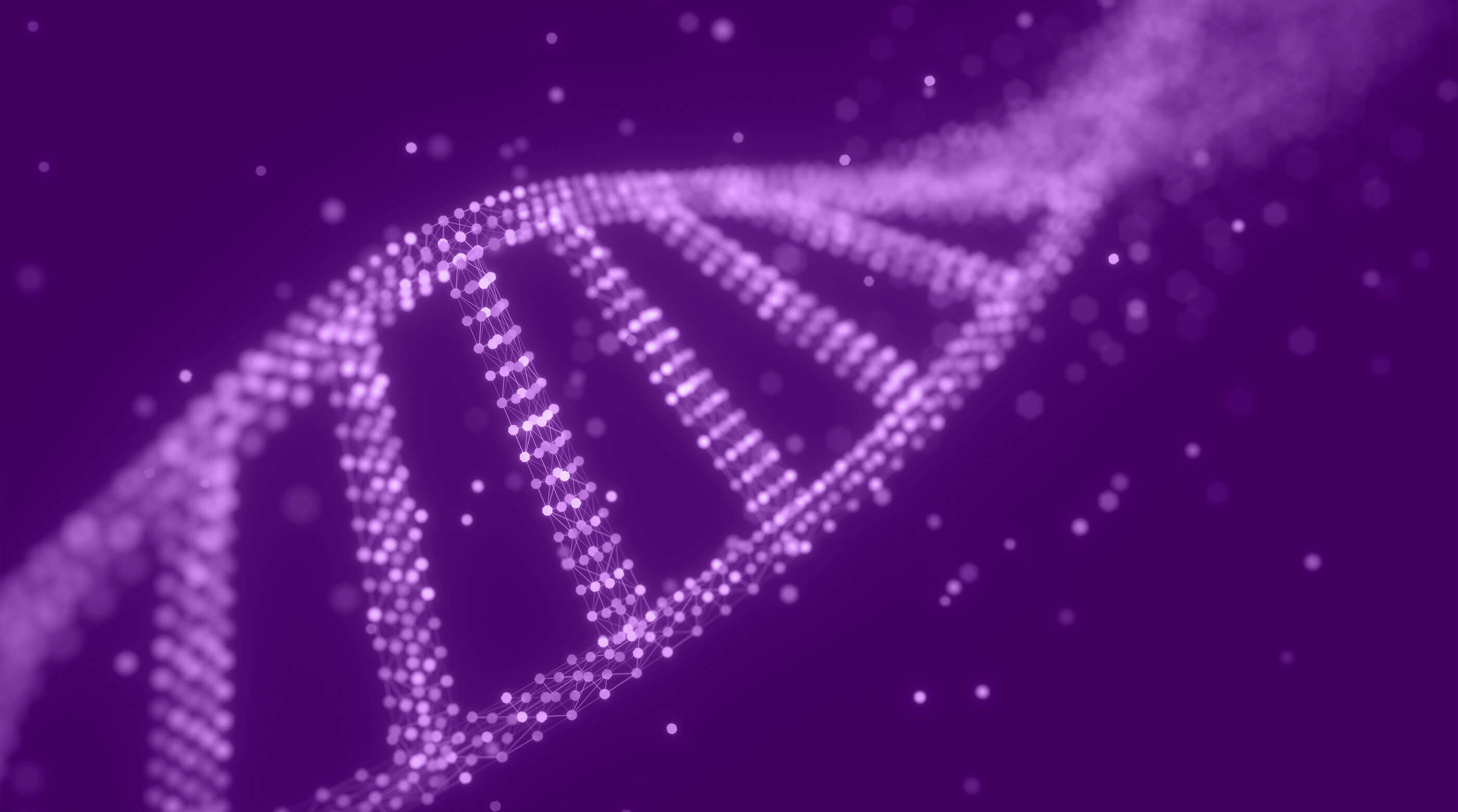 DNA molecule structure