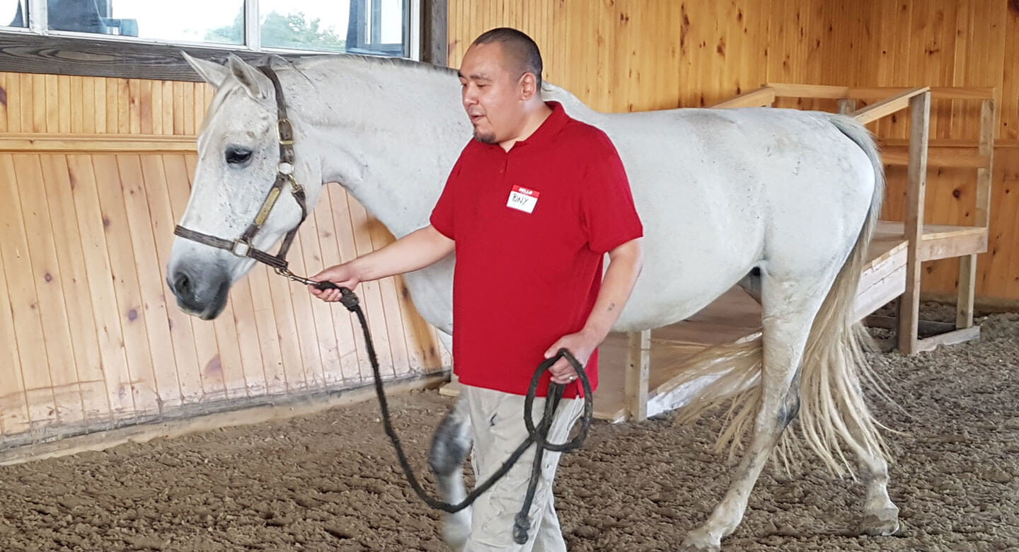 patients-experience-holistic-benefits-in-new-horse-riding-program-camh