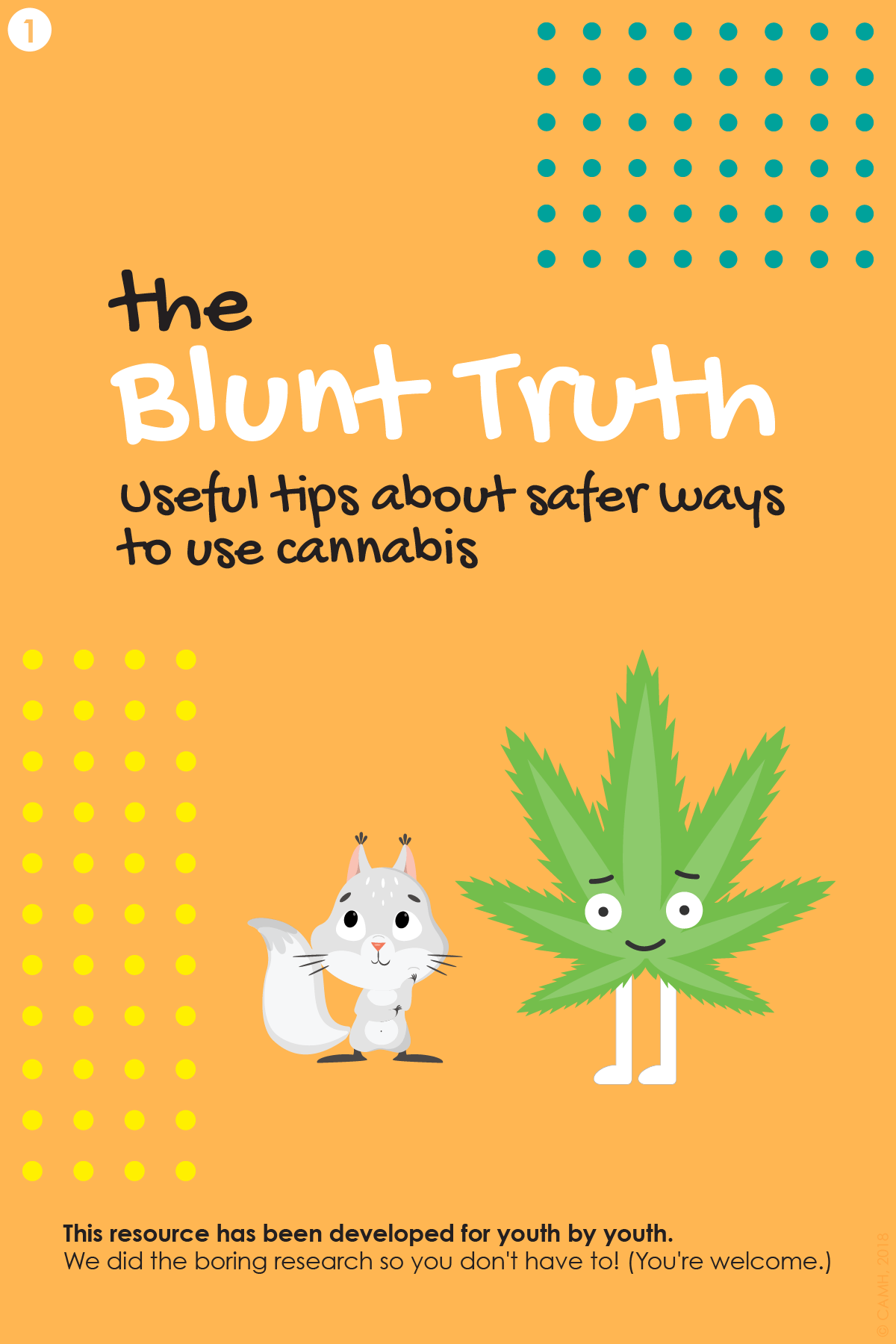 LRCUG for Youth: Panel 1