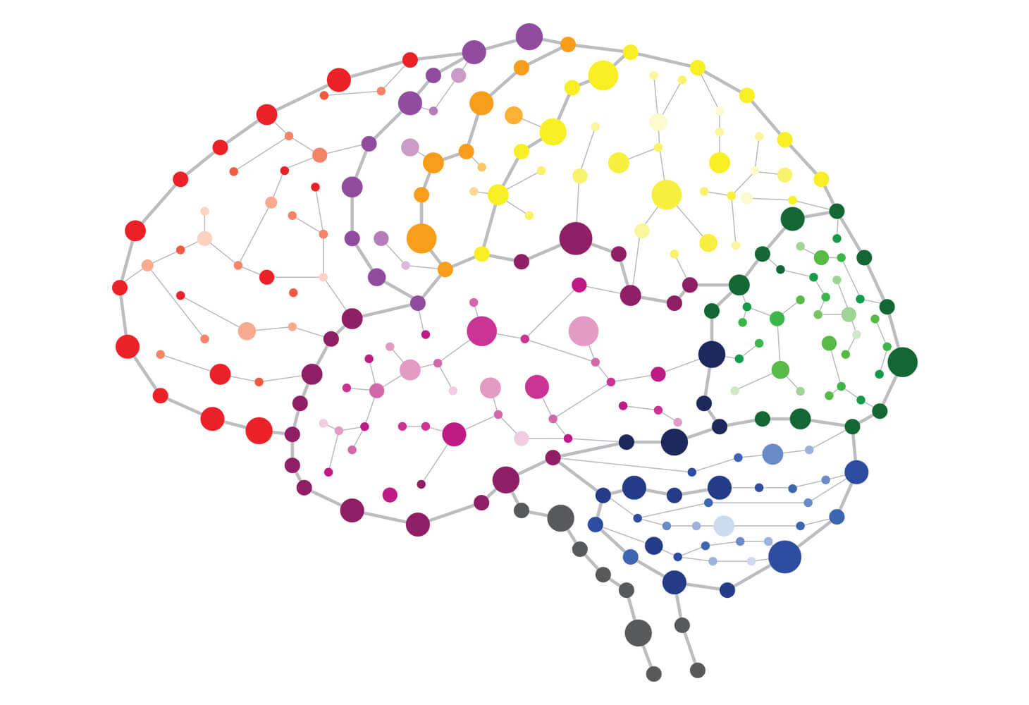 Graphic depicting the brain network