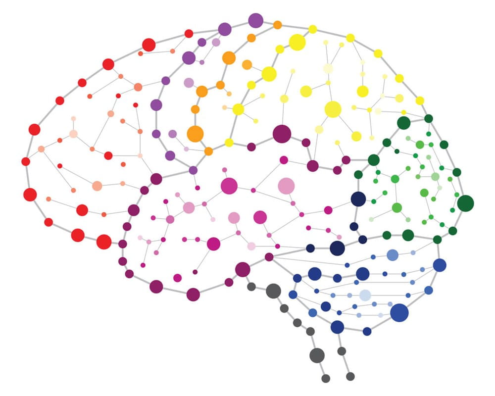 Graphic depicting the brain network