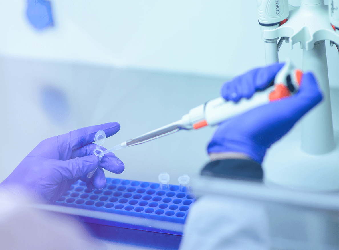 Gloved hands working in lab