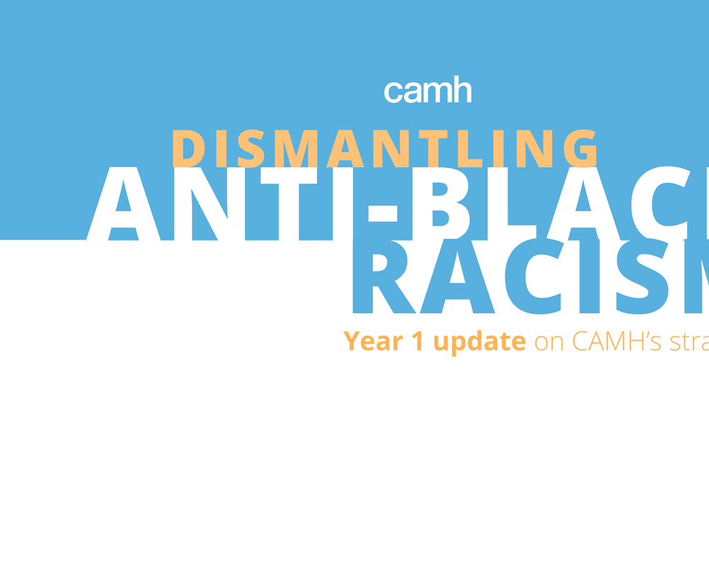 Dismantling Anti-Black Racism - Year 1 Update