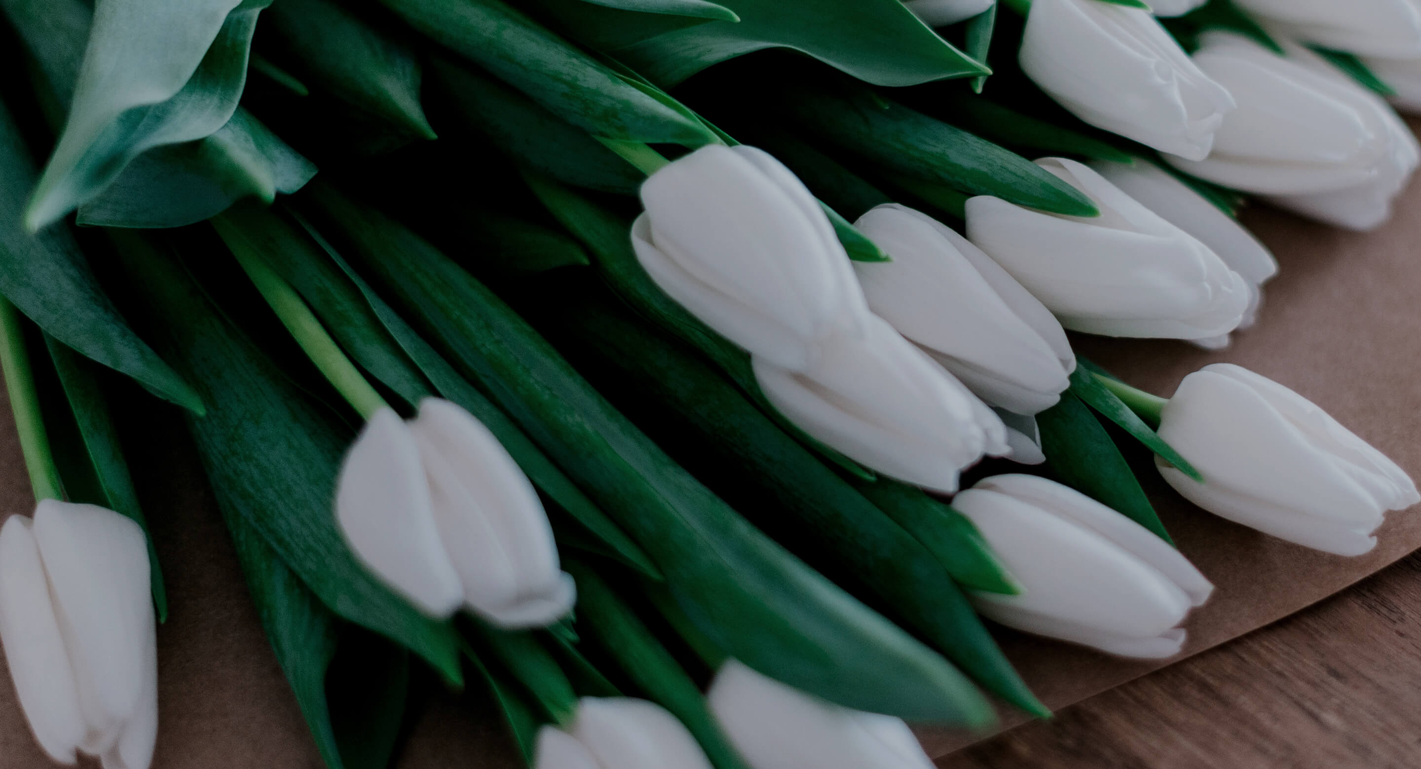 White tulips