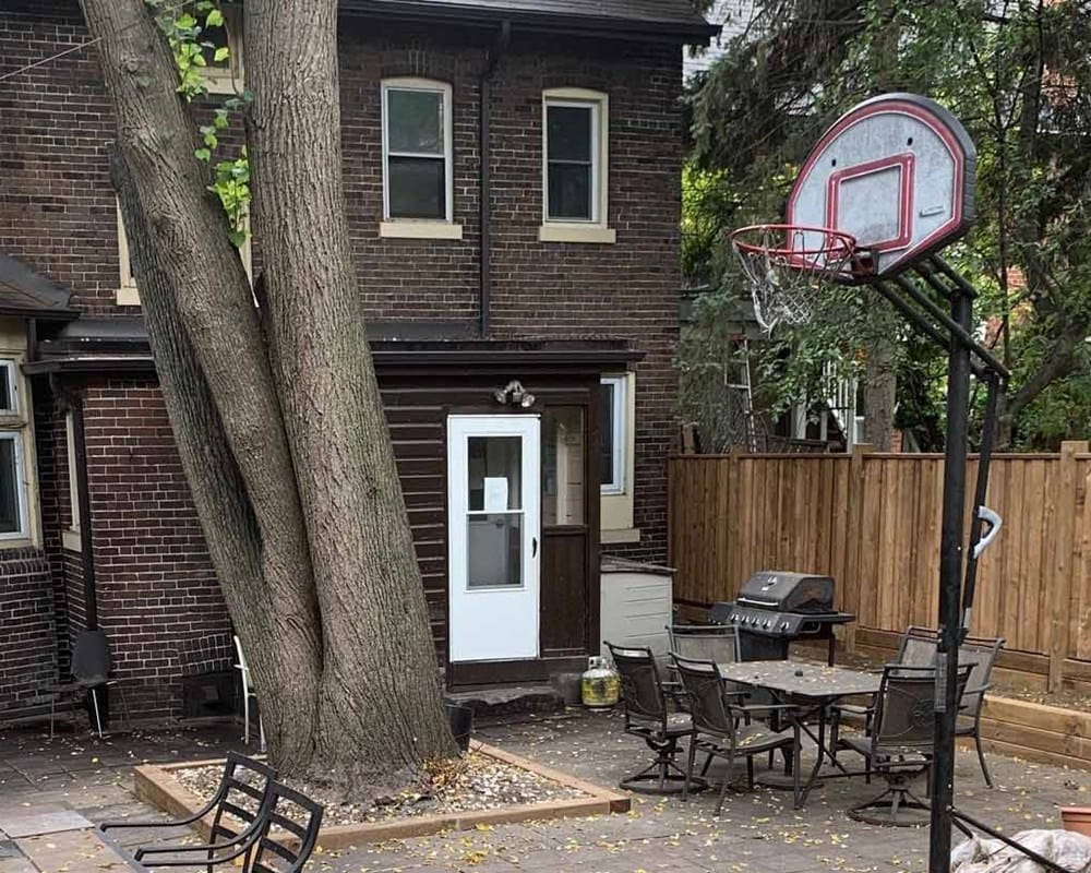 Photo of a backyard of a house