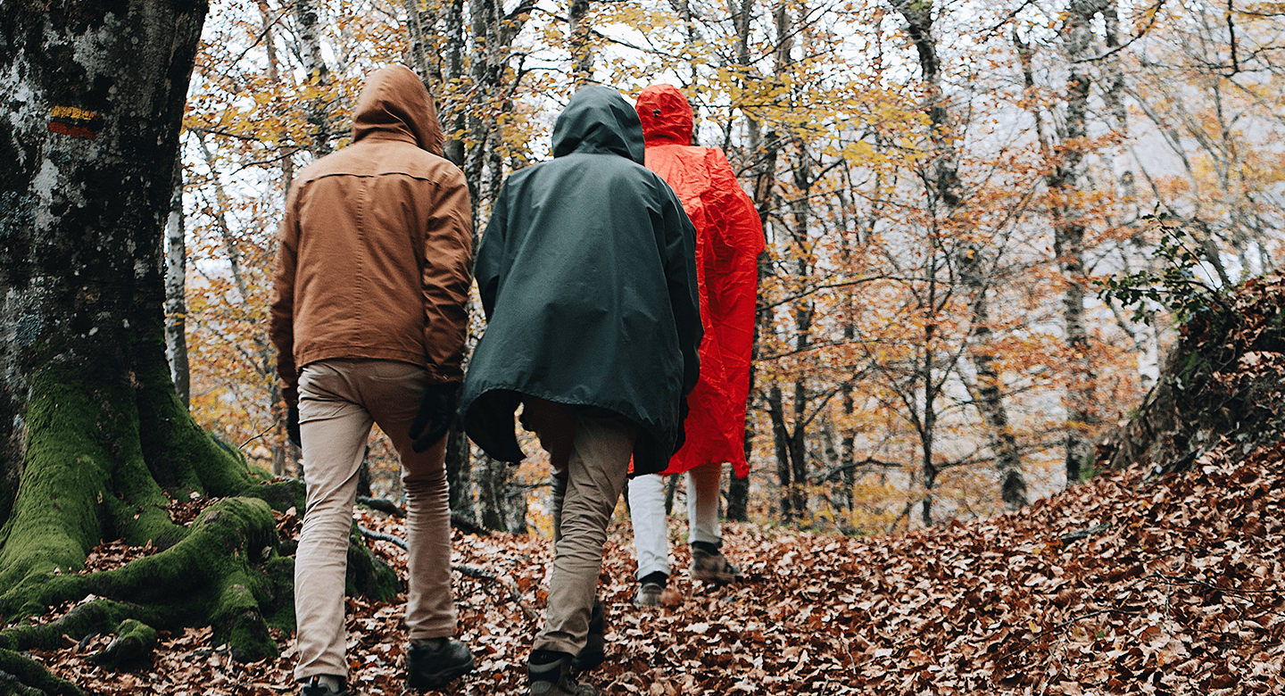 Hiking in the woods in fall