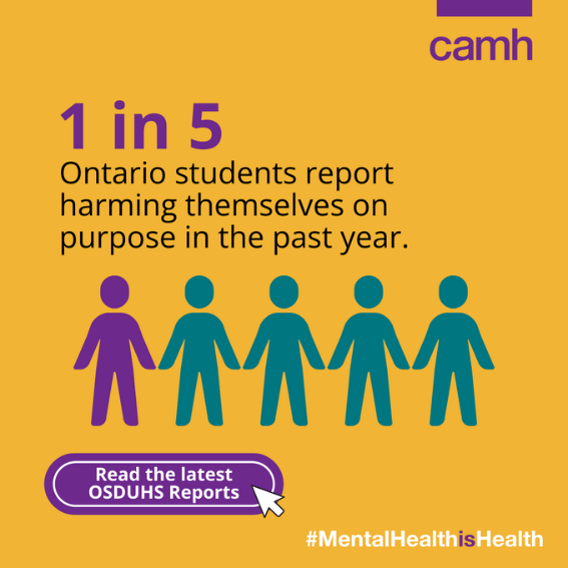 1 in 5 Ontario students report harming themselves on purpose in the past year