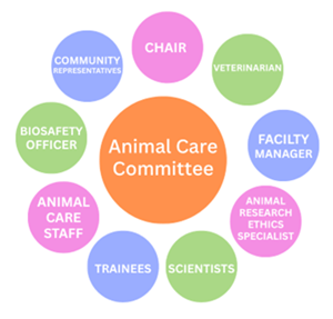 Annual Care Committee org chart